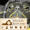 Female Slider